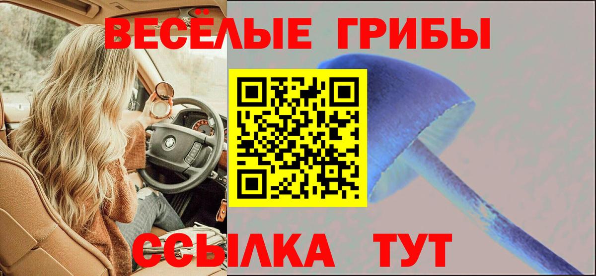 Егорьевск  Псилоцибиновые грибы Magic Shrooms  Псилоцибиновые грибы Psilocybe  где можно купить наркотик  Вход с VPN 