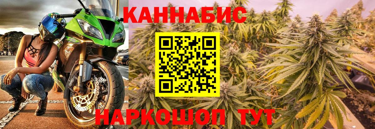 Каннабис ГИДРОПОН  Каннабис планчик  Вход с VPN  Бошки Шишки Bruce Banner  Конопля конопля  Егорьевск 